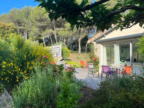 Beautiful house in the heart of its pine forest