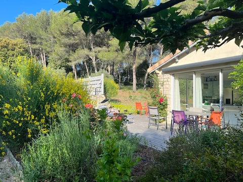 Beautiful house in the heart of its pine forest