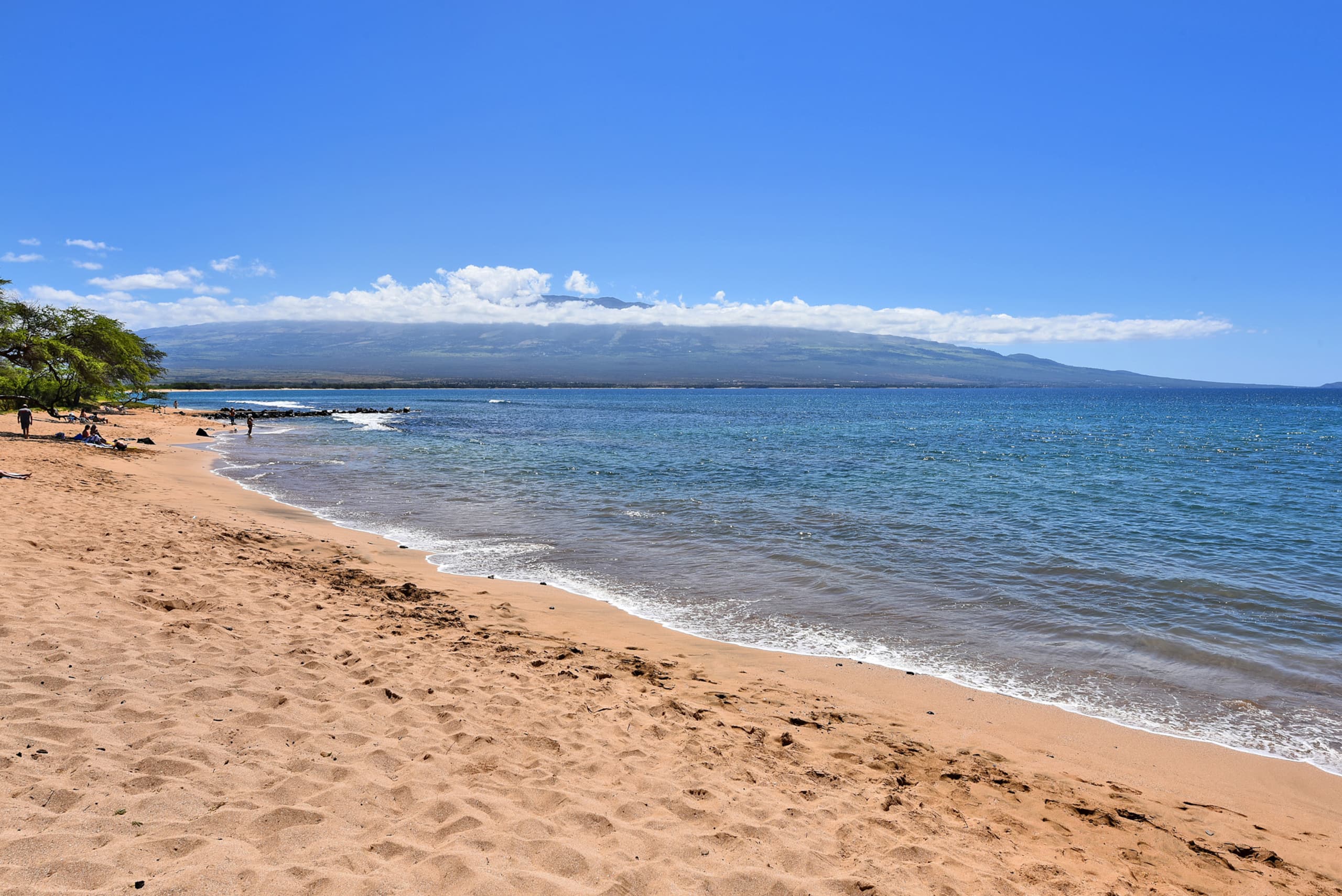 Condo in Wailuku · ★4.84 · 2 bedrooms · 3 beds · 2 baths - Image 46