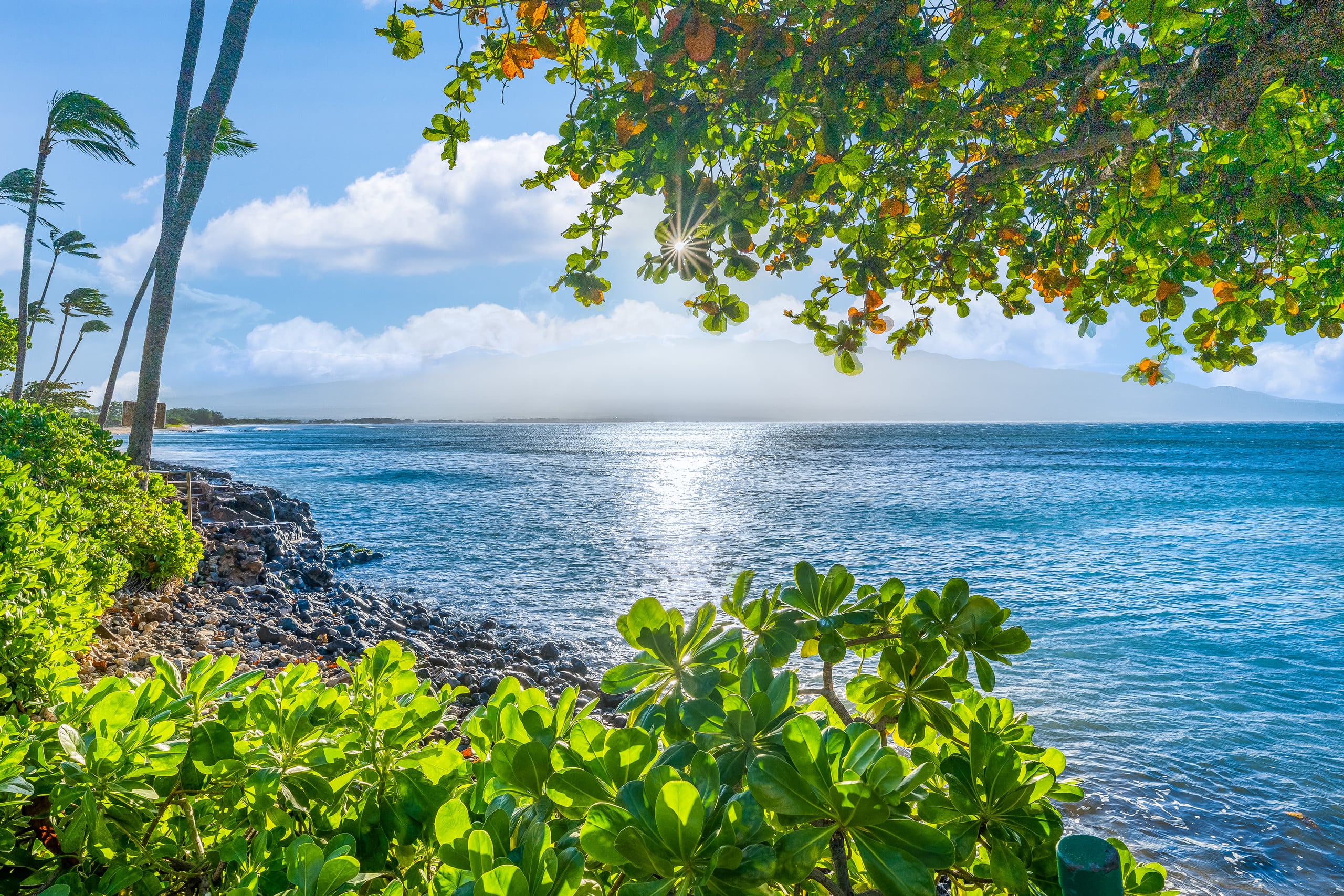 Condo in Wailuku · ★4.84 · 2 bedrooms · 3 beds · 2 baths - Image 43