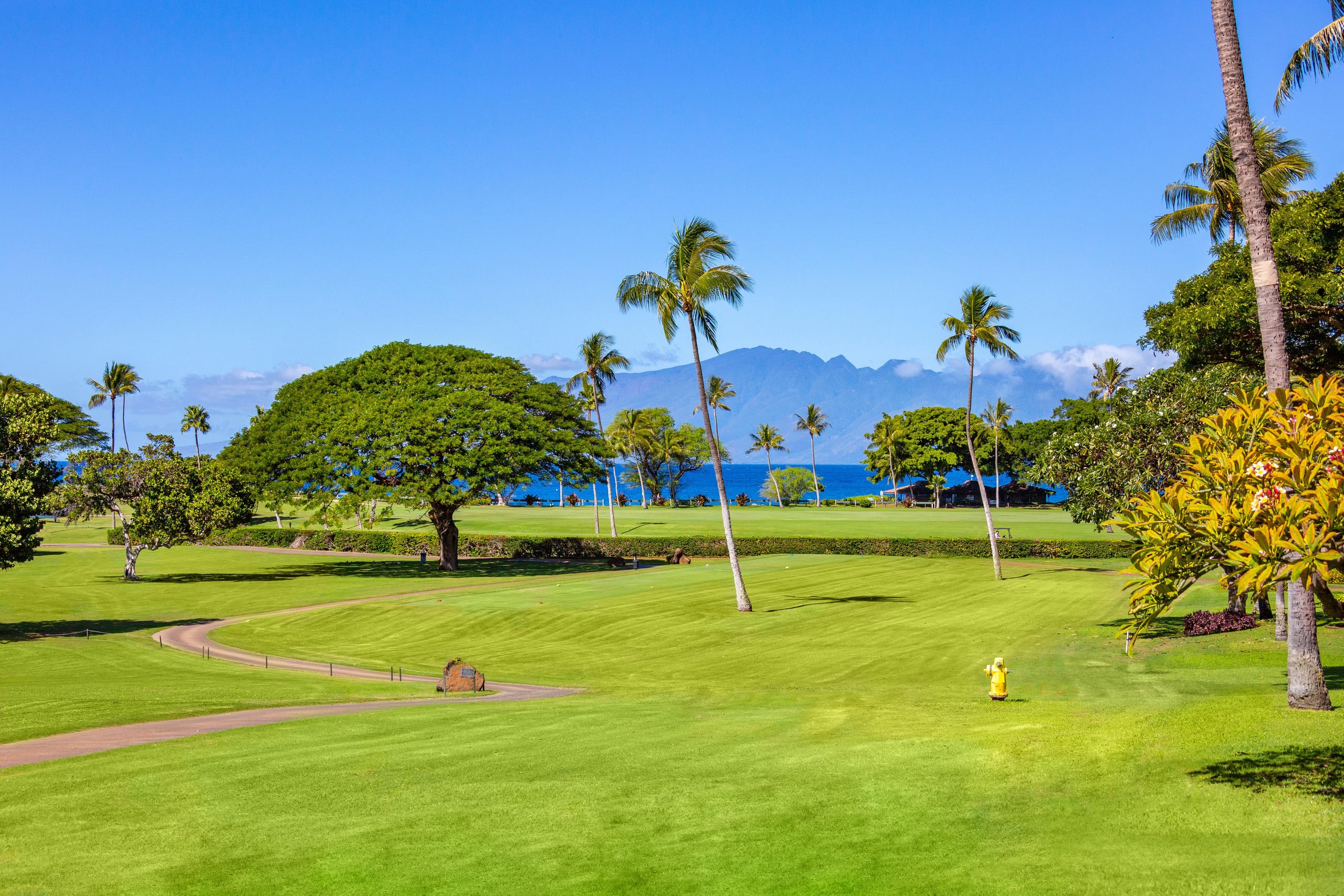 Condo in Lahaina · ★4.88 · 2 bedrooms · 3 beds · 2 baths - Image 3