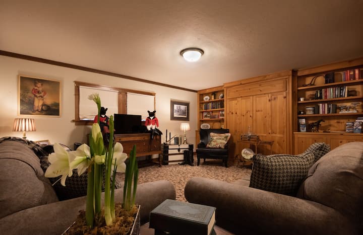Sala de estar de la casa rodante con cama Murphy