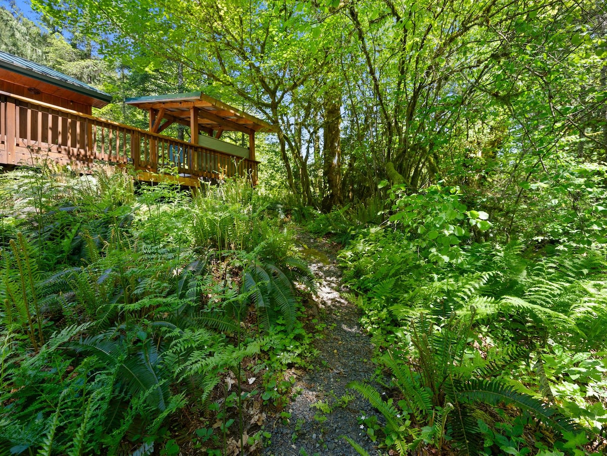 A well-trodden path meanders through lush greenery, flanked by ferns and vibrant foliage. The entrance to the property is marked by a wooden deck, which provides a welcoming bridge into the natural environment surrounding the home.