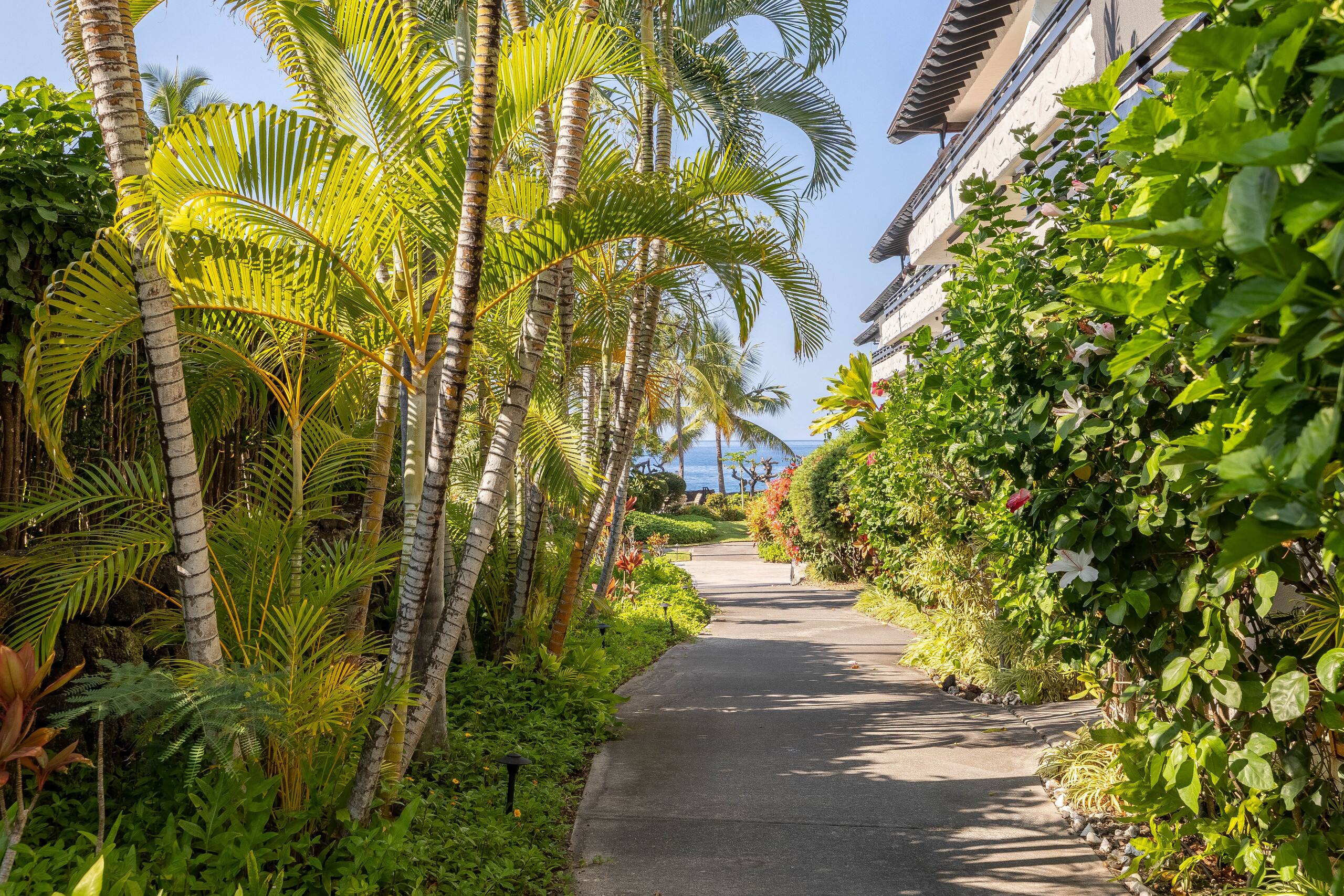 Condo in Kailua-Kona · ★4.46 · 1 bedroom · 2 beds · 1 shared bath - Image 18