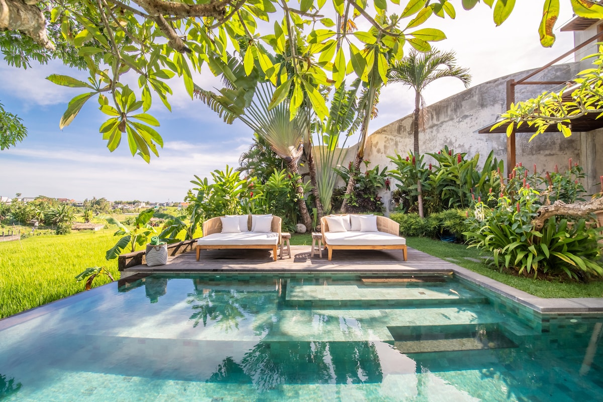 A private swimming pool is surrounded by lush tropical foliage. Two loungers with cushions are positioned on the pool deck, inviting relaxation while offering views of the verdant rice fields in the distance. Palm trees and plants enhance the tranquil setting.