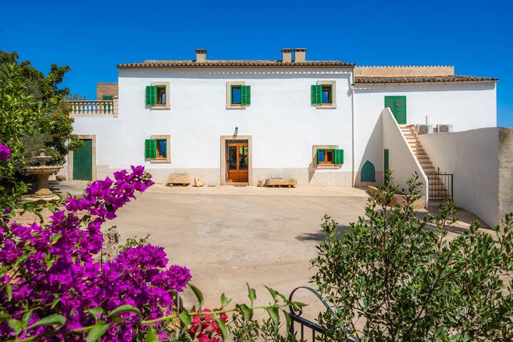 Na Amera Ref 225 gallery image 2