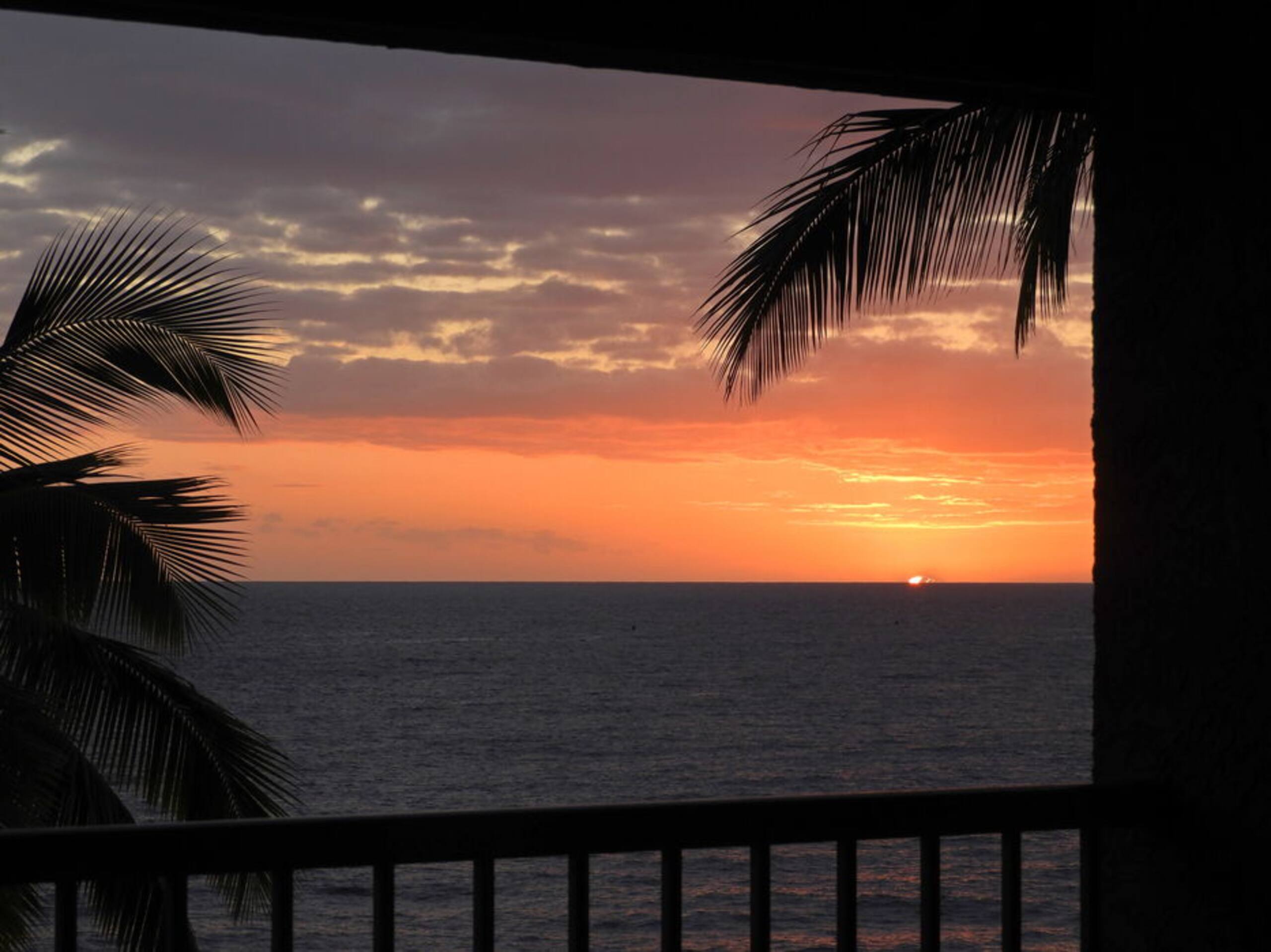 Condo in Kailua-Kona · ★4.5 · 1 bedroom · 2 beds · 1 bath - Image 26