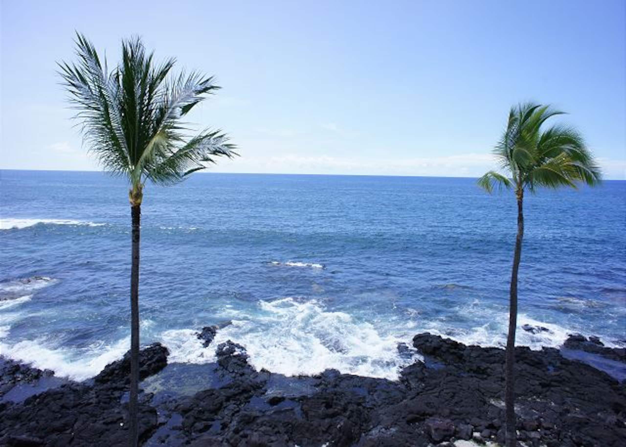 Condo in Kailua-Kona · ★4.5 · 1 bedroom · 2 beds · 1 bath - Image 12