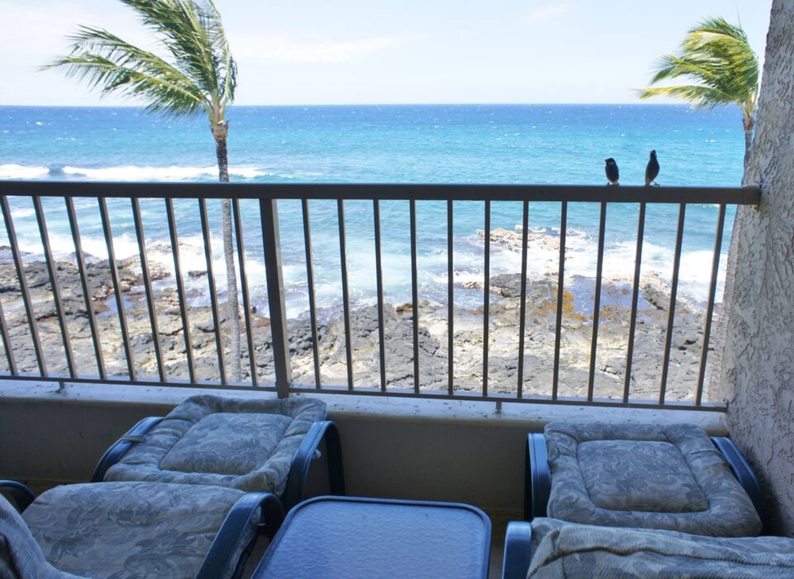 Condo in Kailua-Kona · ★4.5 · 1 bedroom · 2 beds · 1 bath - Image 15