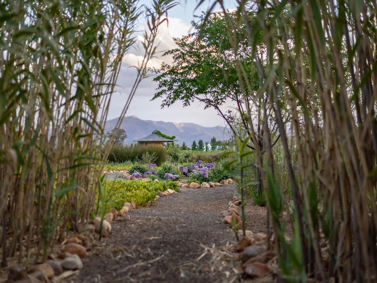 A winding pathway lined with stones leads through lush greenery, flanked by tall plants. Colorful flowers of various hues add vibrancy to the scene, while distant mountains provide a serene backdrop under a cloudy sky.