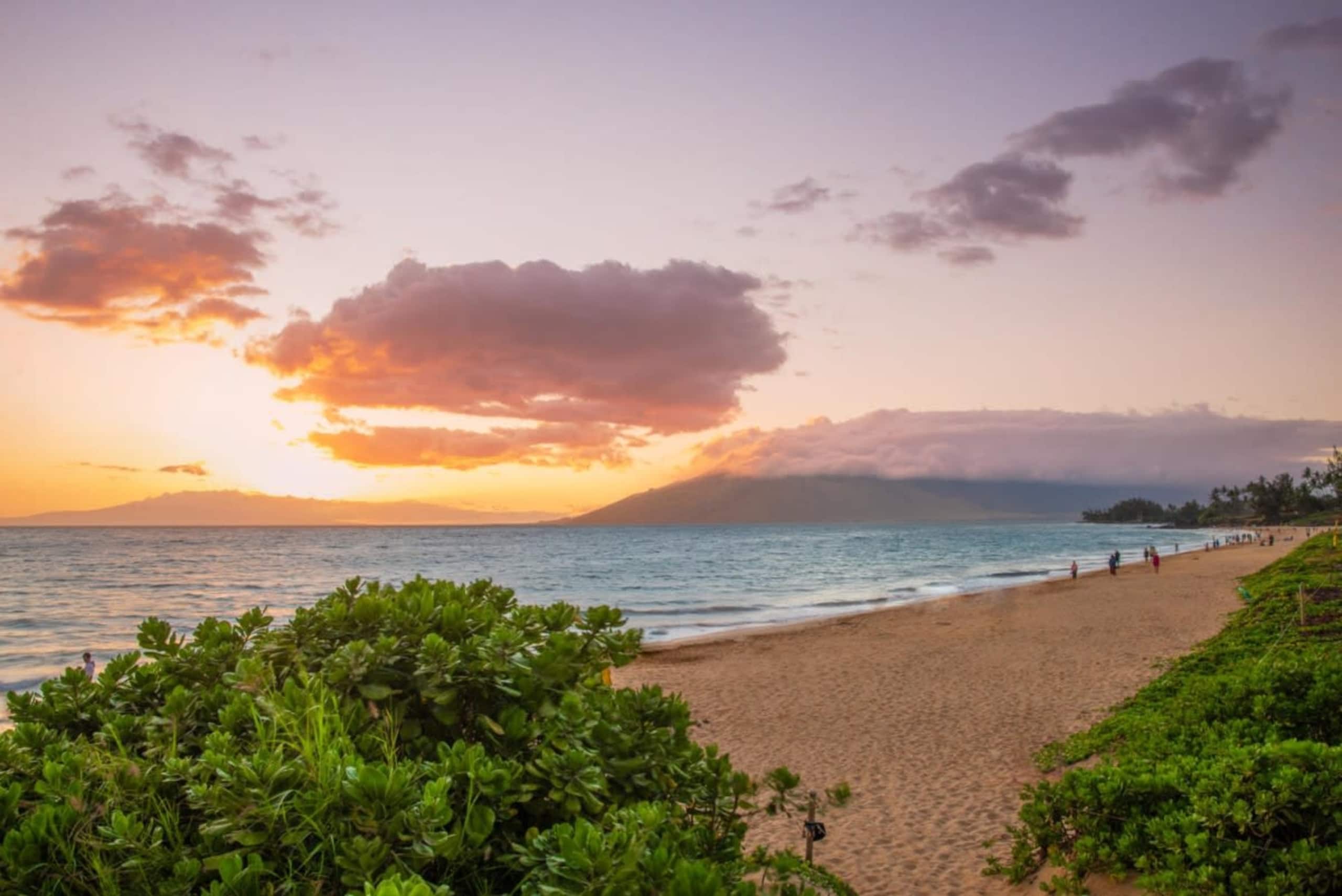 Updated Ocean View Condo Steps from Kamaole Beach - Photo 27