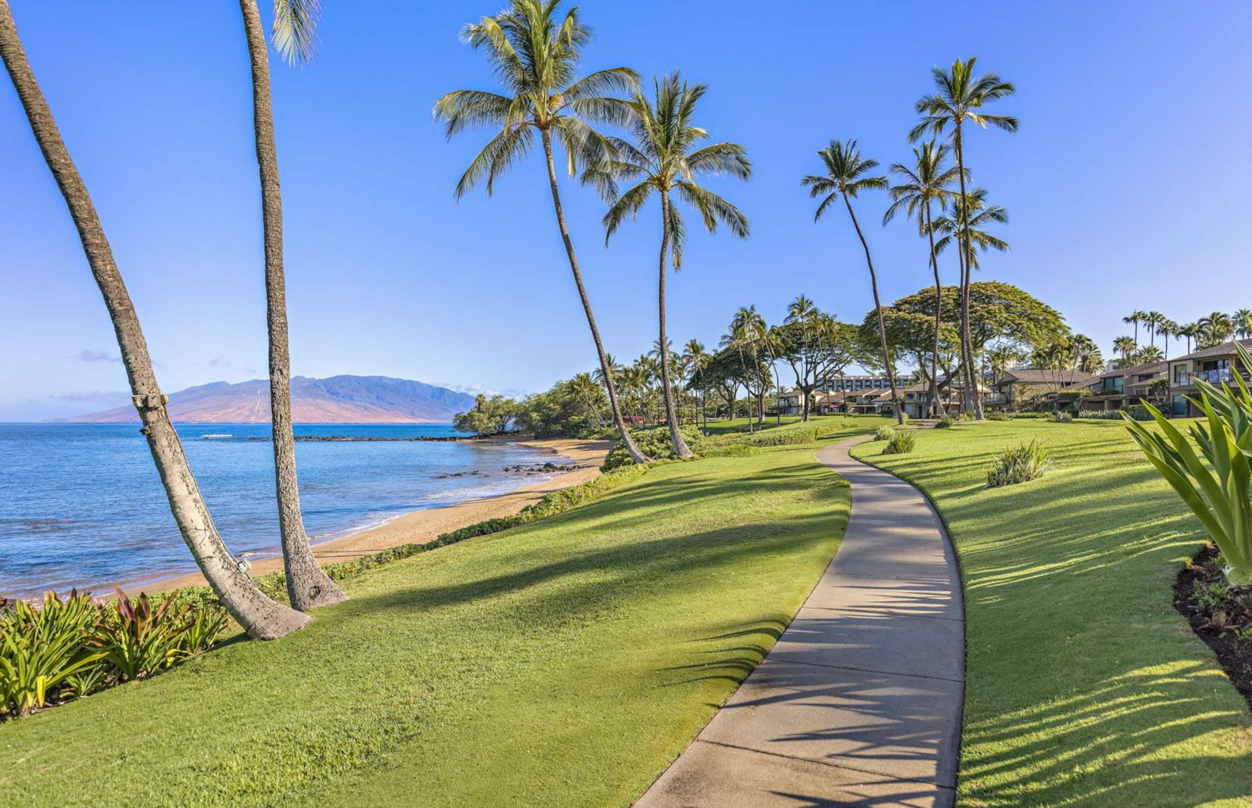 Condo in Wailea · ★5.0 · 2 bedrooms · 2 beds · 2 baths - Photo 36
