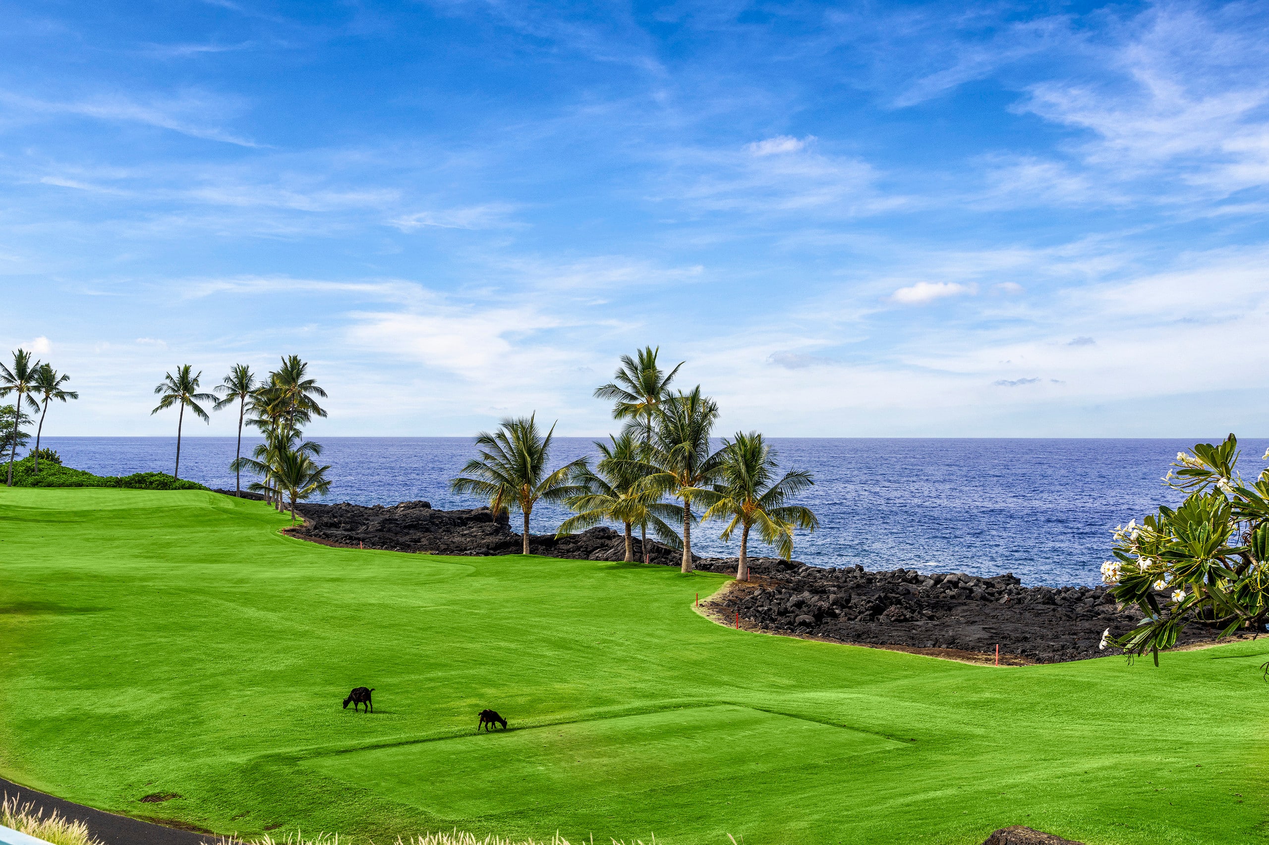 Home in Kailua-Kona · ★4.97 · 3 bedrooms · 3 beds · 2.5 baths - Image 38