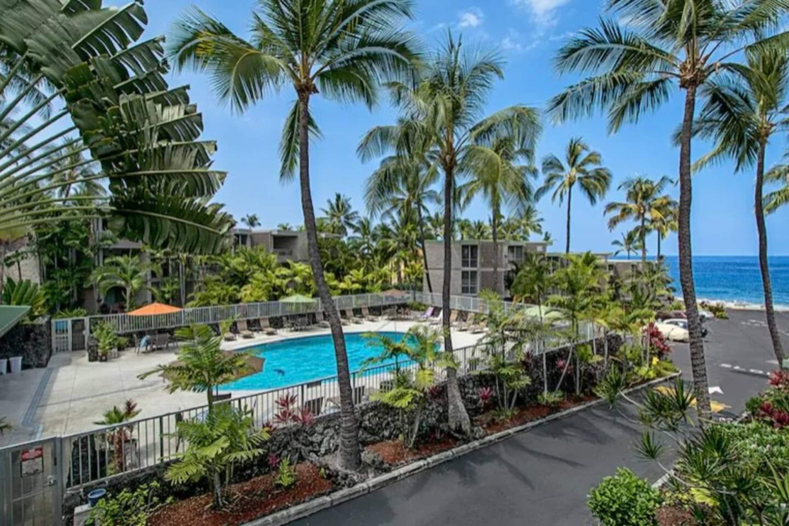 Condo in Kailua-Kona · ★4.81 · 1 bedroom · 2 beds · 1 bath - Image 18
