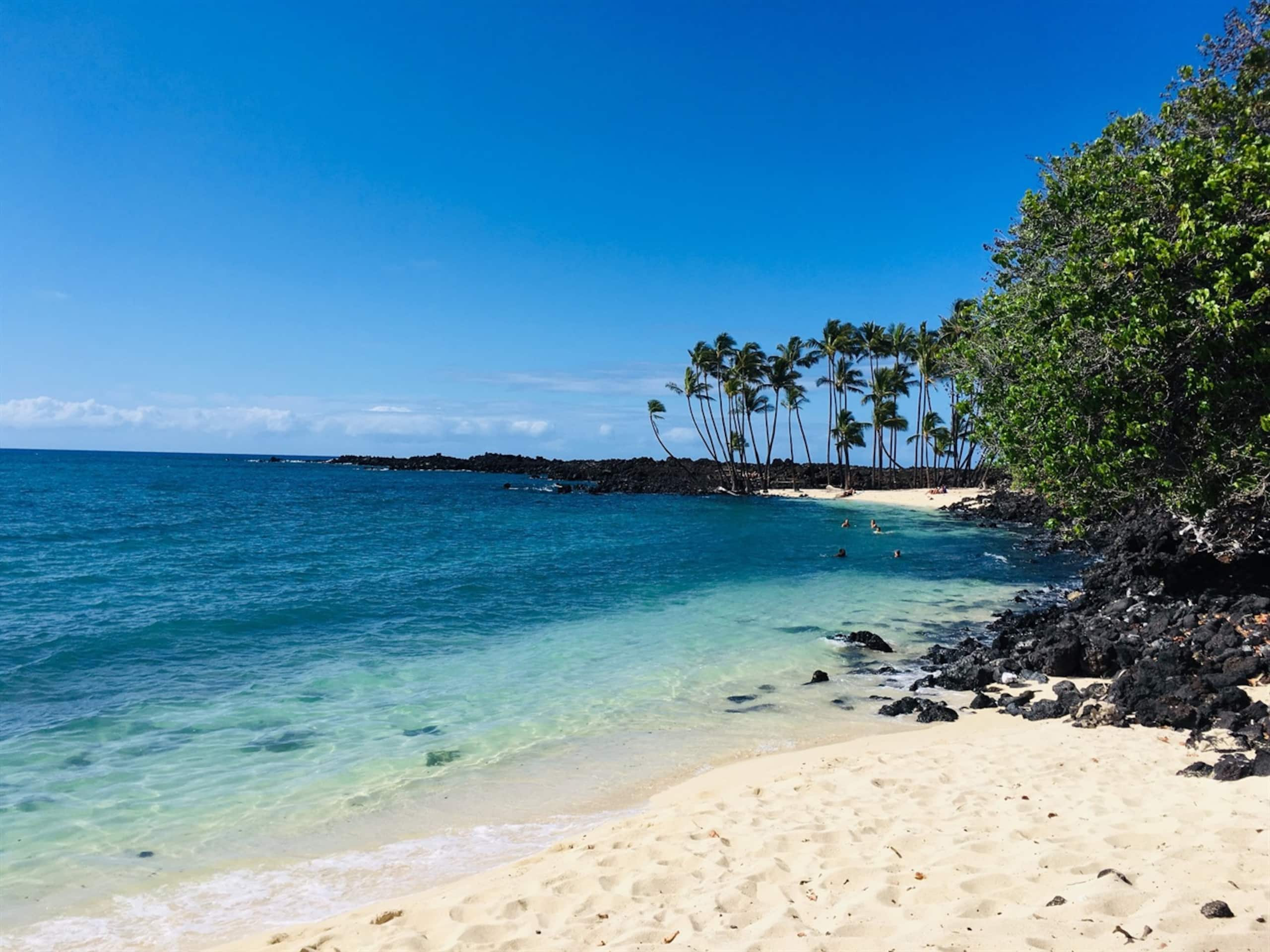 Condo in Kailua-Kona · ★4.81 · 1 bedroom · 2 beds · 1 bath - Image 25