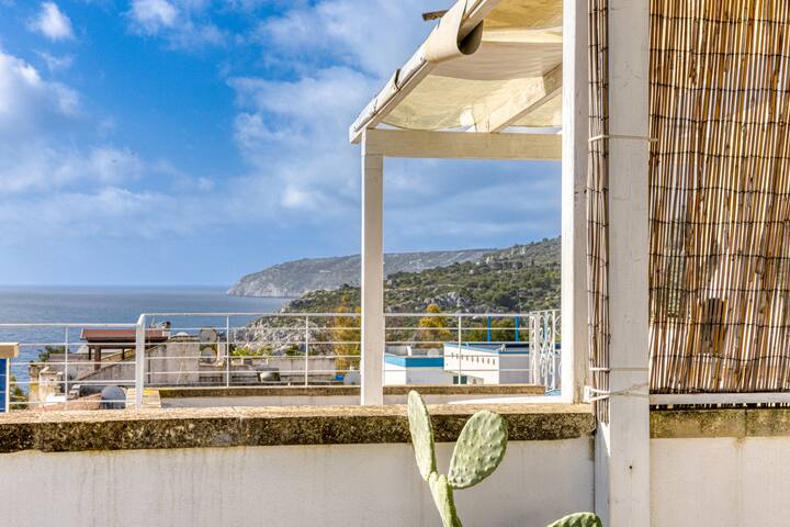 Novaglie Mon Amour gallery image 3