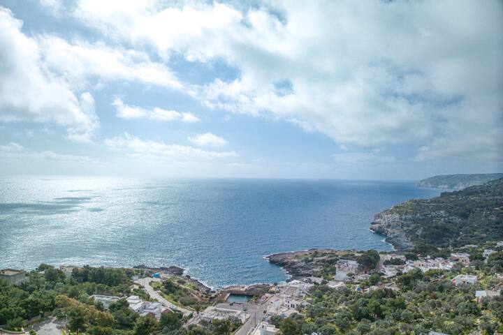 Novaglie Mon Amour gallery image 5