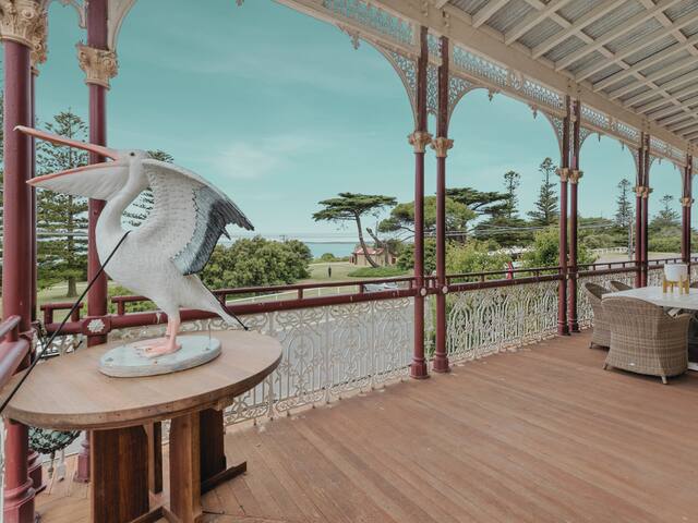 Pelicans at the Ozone gallery image 4