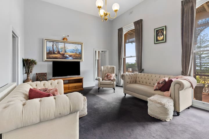 Pelicans at the Ozone