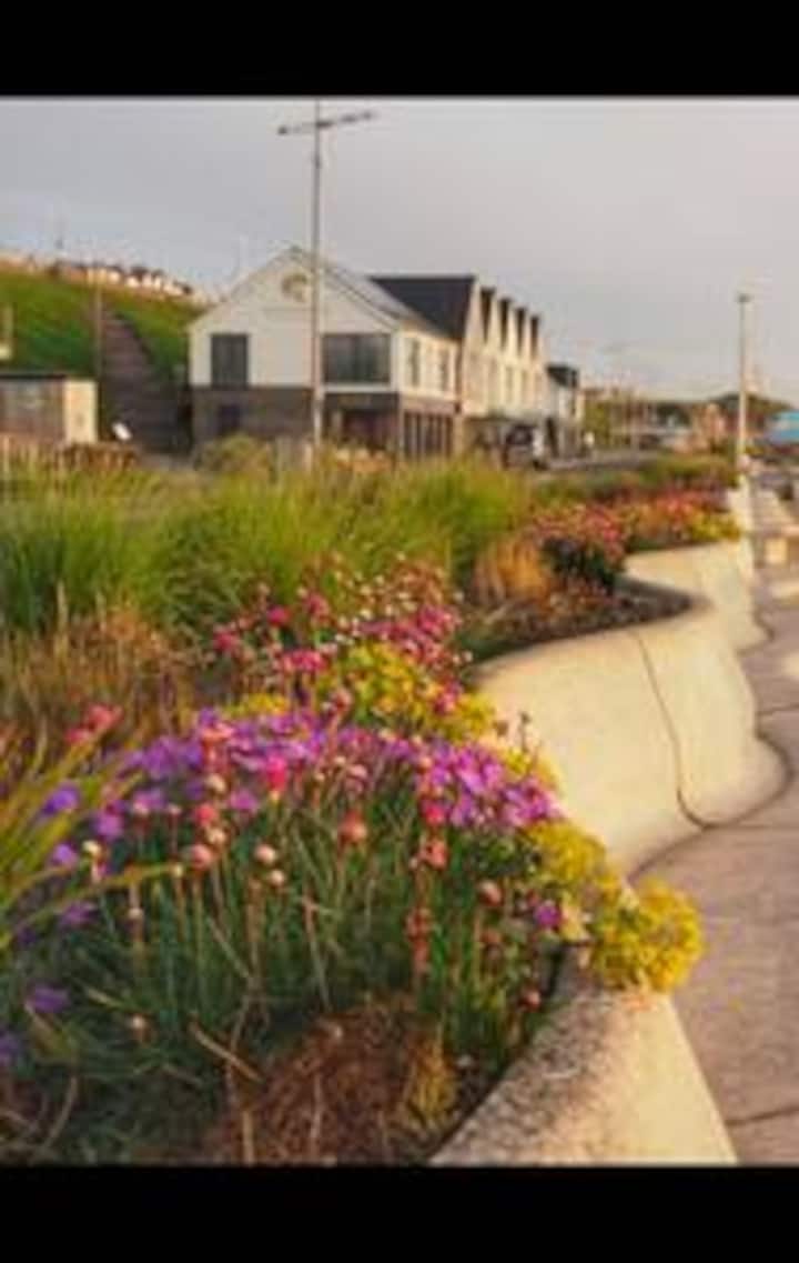 C5d8692b da28 46d5 8ead 87241c8514c9