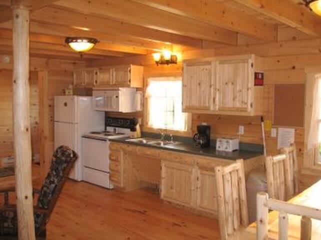 Foxtail Cabins managed Airbnb listing 2