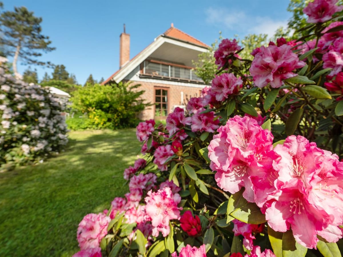 A garden filled with pink rhododendron blooms surrounds a two-story house. The structure features a sloped roof and large windows, allowing natural light to fill the interior. Lush greenery adds to the serene outdoor setting.