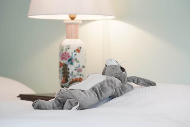 Chambre Garenne - La Forêt