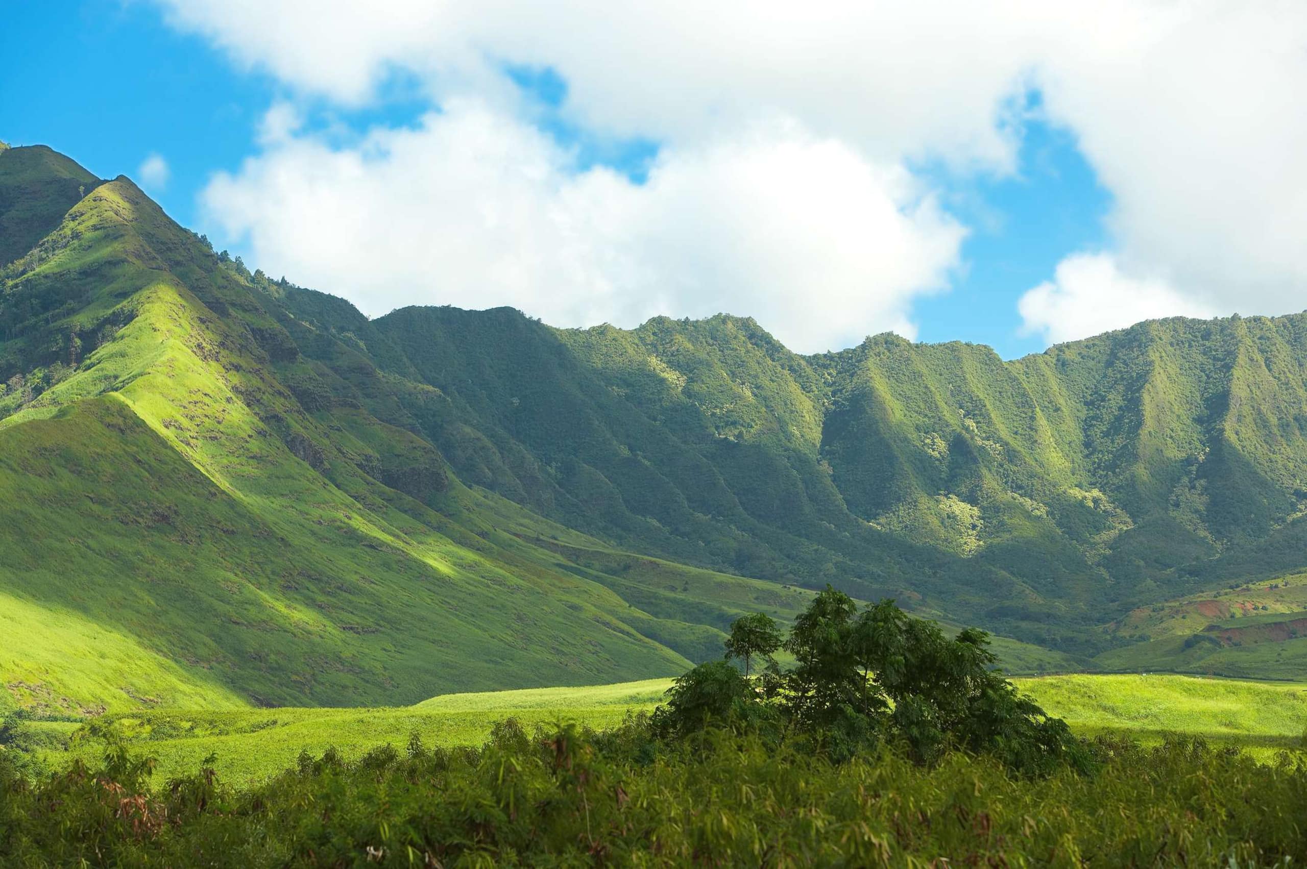 Home in Waianae · ★4.91 · 4 bedrooms · 4 beds · 2.5 private baths - Image 40