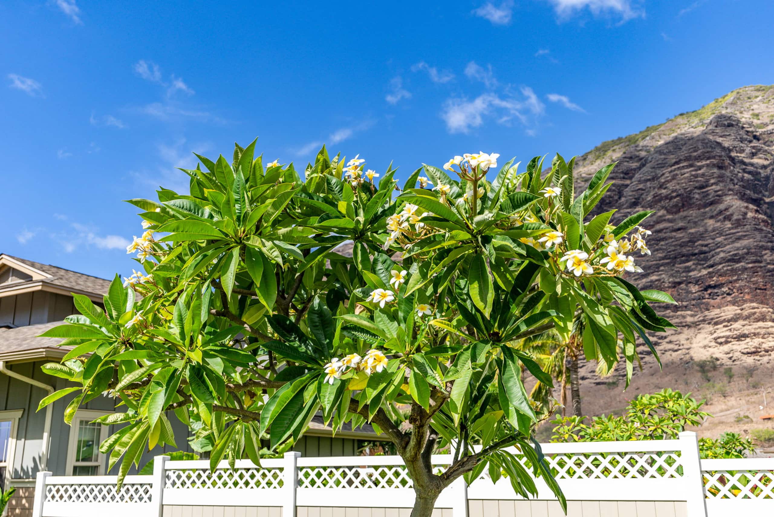 Home in Waianae · ★4.91 · 4 bedrooms · 4 beds · 2.5 private baths - Image 62
