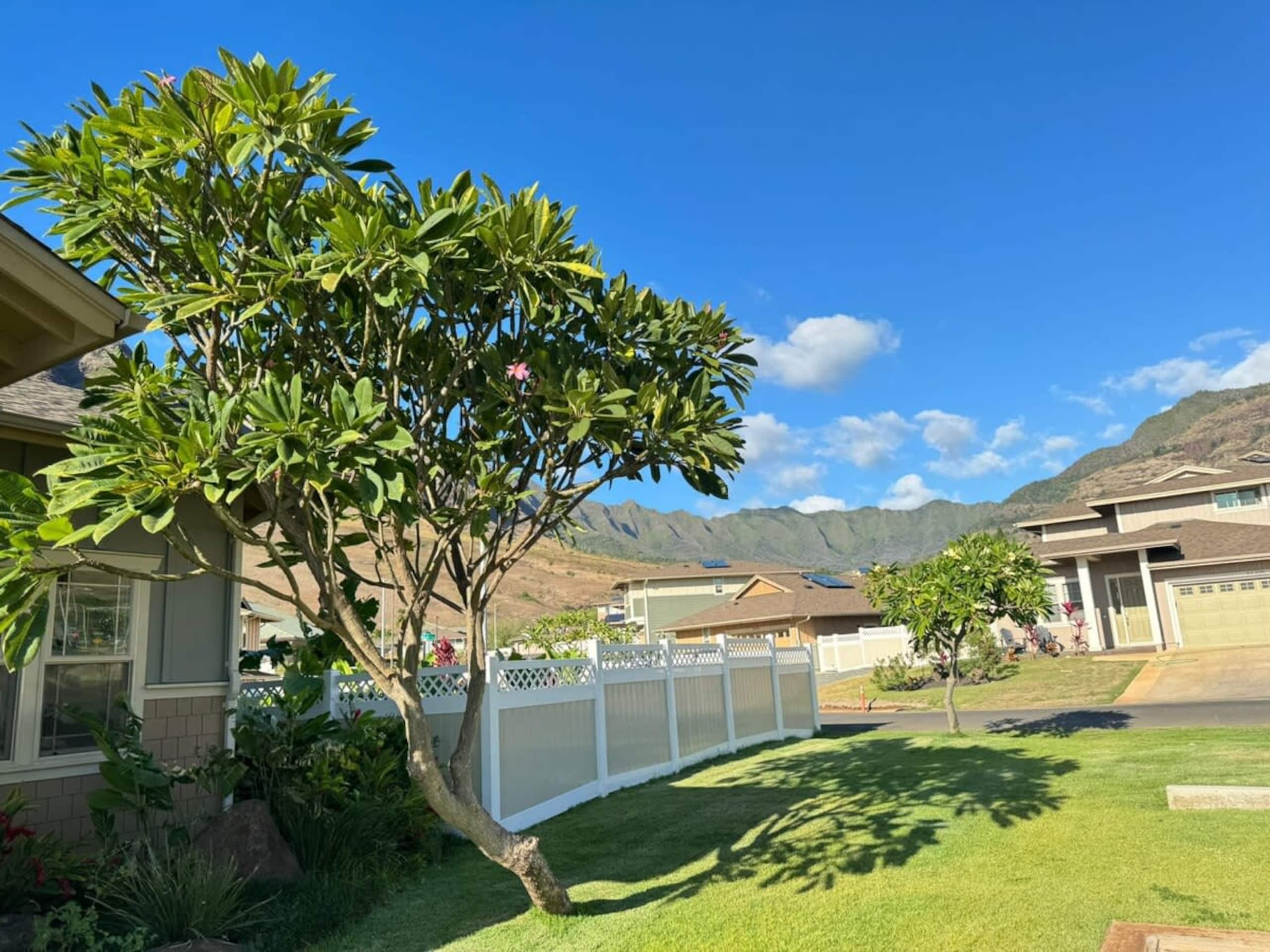 Home in Waianae · ★4.91 · 4 bedrooms · 4 beds · 2.5 private baths - Image 68