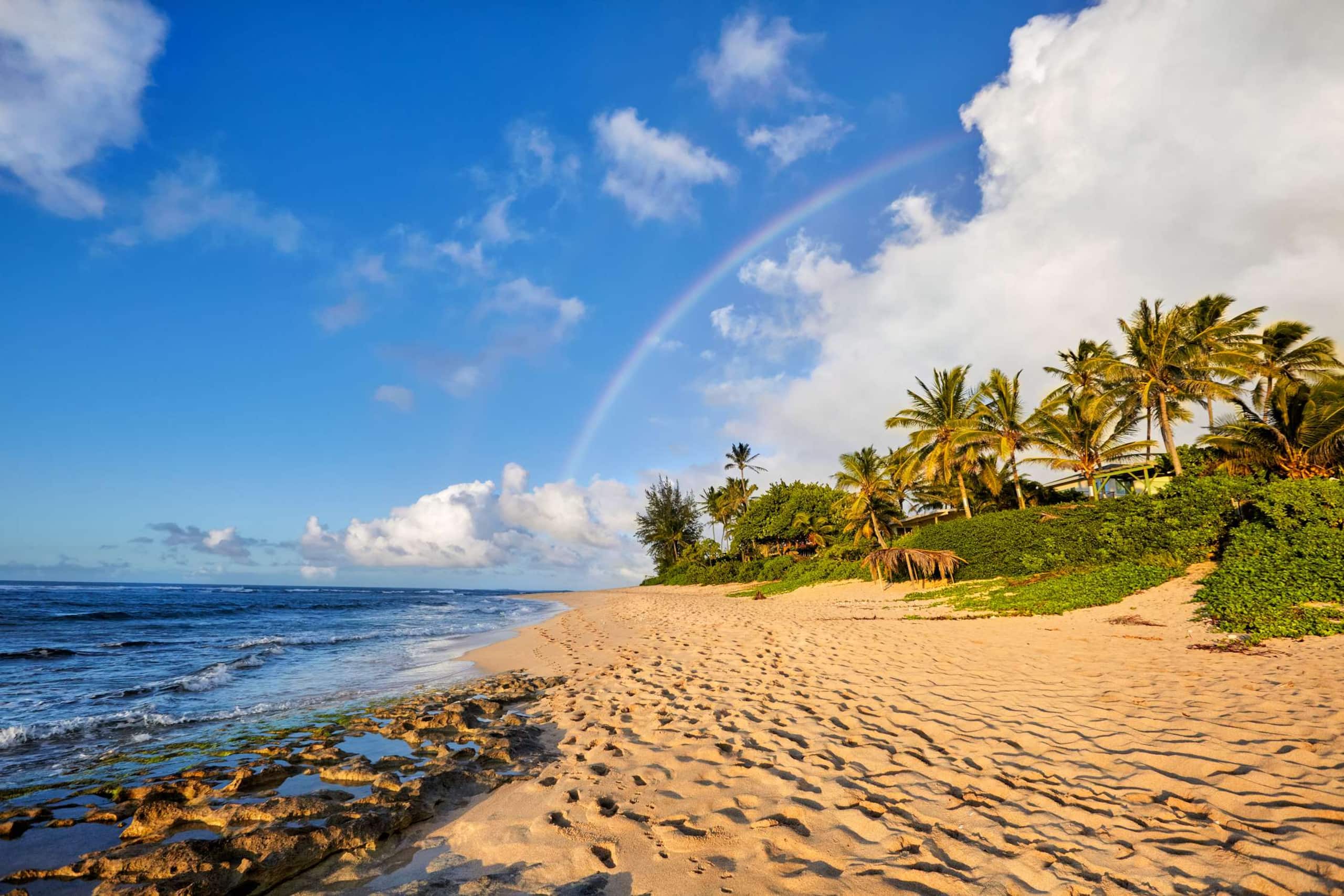 Home in Waianae · ★4.91 · 4 bedrooms · 4 beds · 2.5 private baths - Image 90