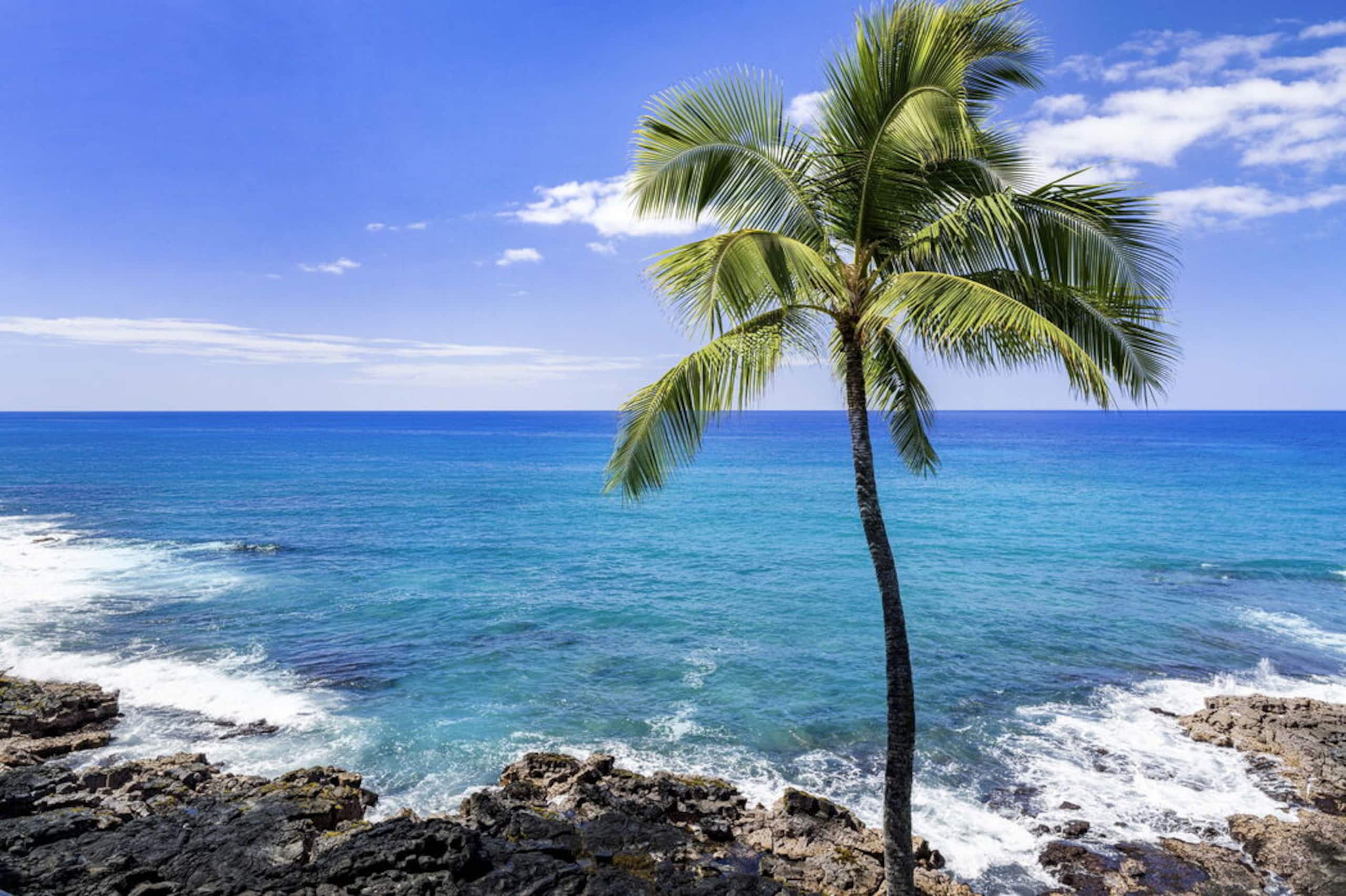 Condo in Kailua-Kona · ★4.6 · 2 bedrooms · 2 beds · 2 baths - Image 29