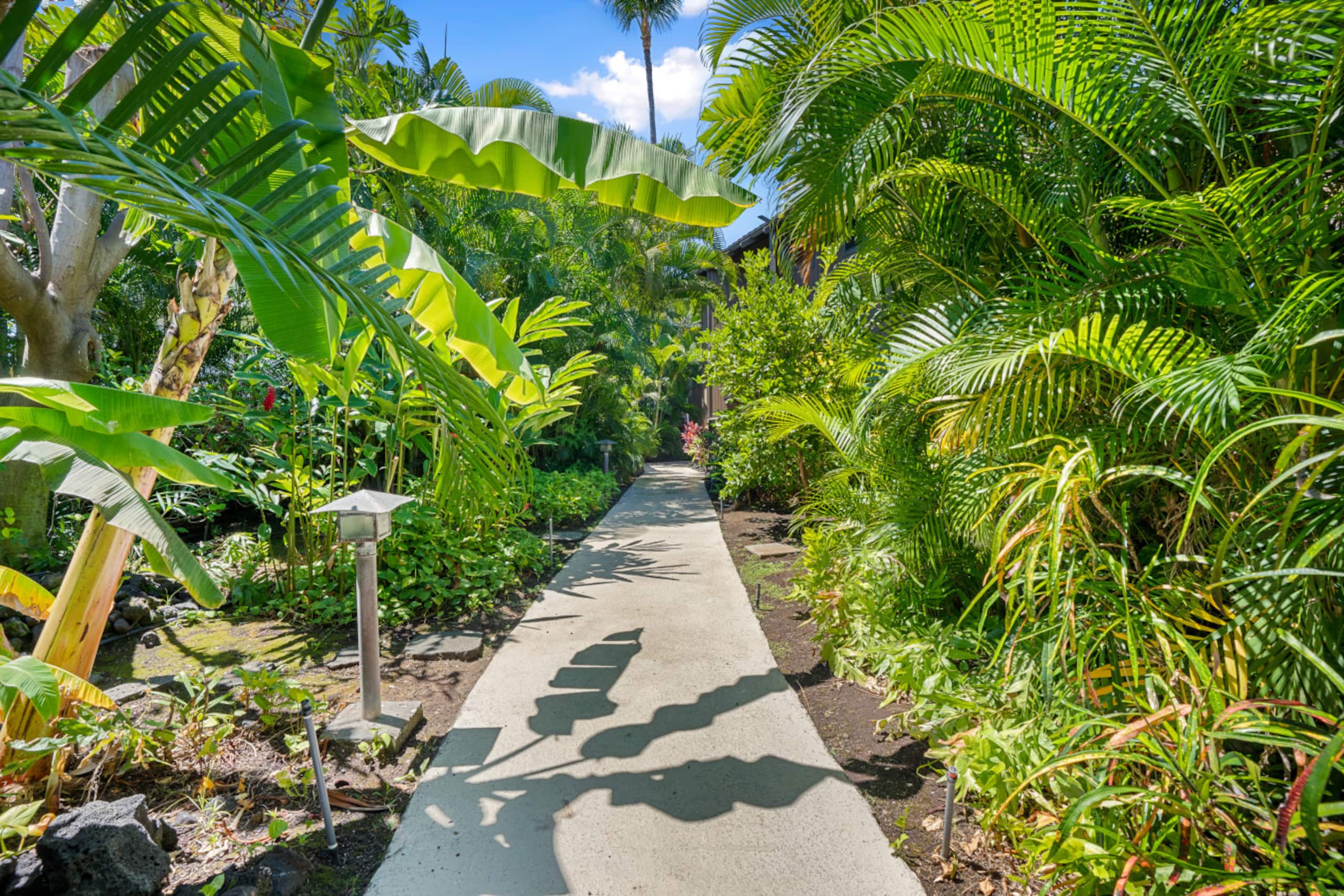 Home in Kailua-Kona · ★4.86 · 3 bedrooms · 3 beds · 3 baths - Image 52