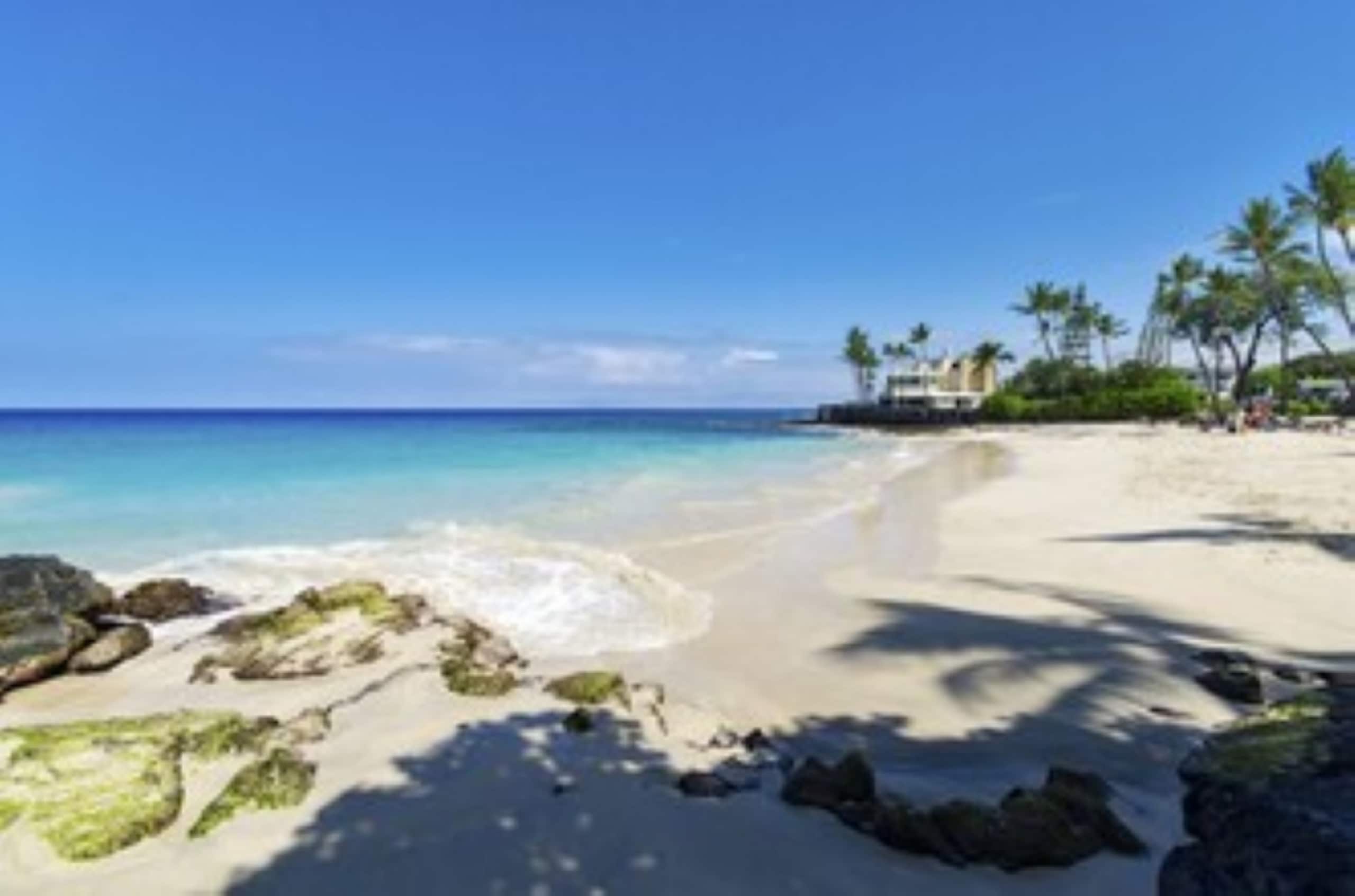 Home in Kailua-Kona · ★4.86 · 3 bedrooms · 3 beds · 3 baths - Image 59
