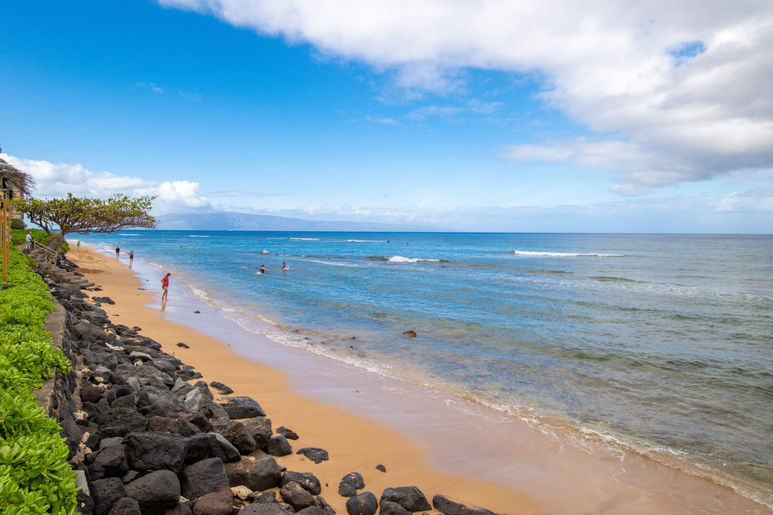 Home in Lahaina · ★4.73 · 1 bedroom · 4 beds · 1 bath - Image 40