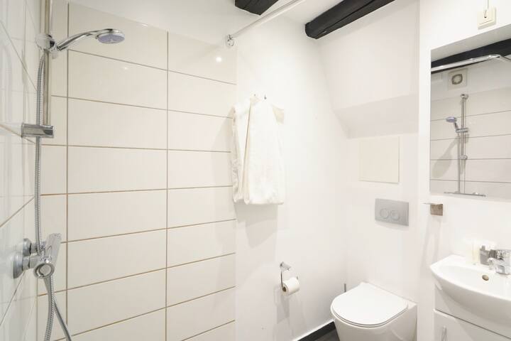 Unique 2-Bedroom Apt w/Loft and Exposed Beams gallery image 5