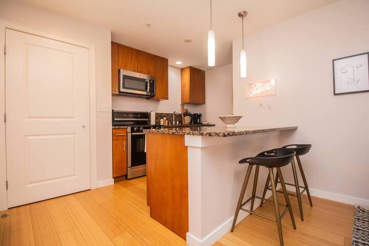 Luxury, 2bed,2 bath, Boston Central, Boston Univ gallery image 4