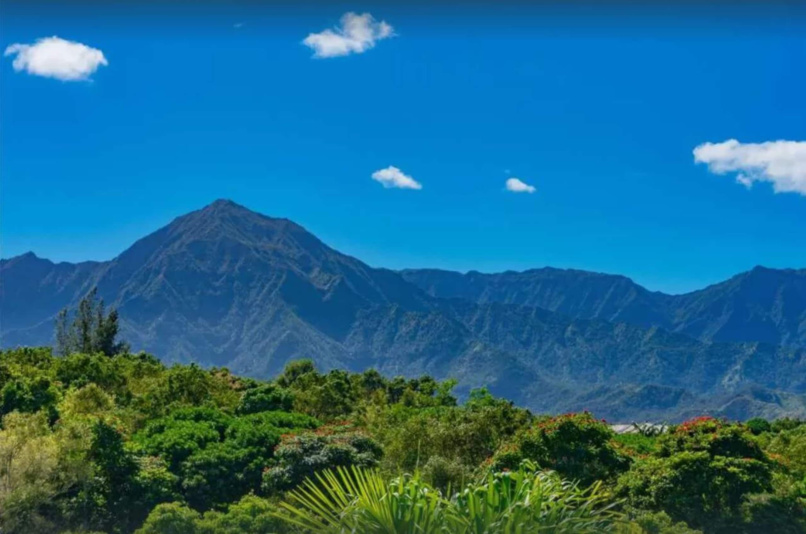 Townhouse in Princeville · ★4.96 · 3 bedrooms · 3 beds · 3 baths - Image 29