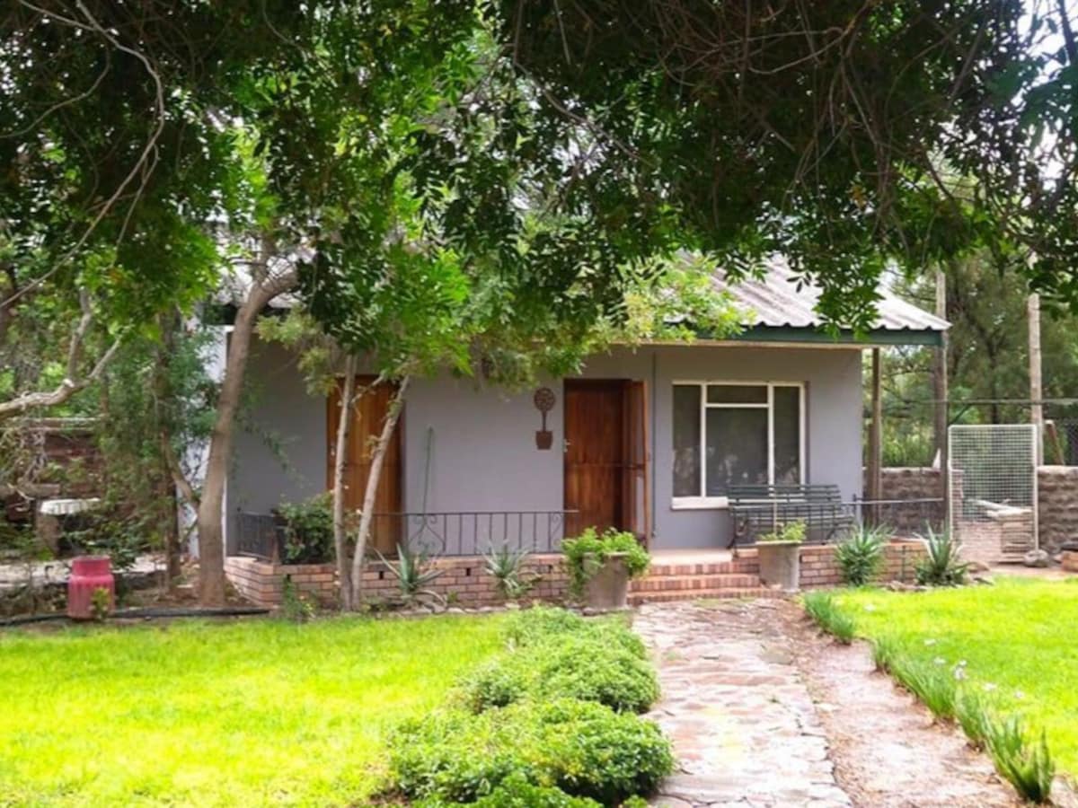 A charming cottage is nestled within a lush garden, surrounded by green grass and various plants. A stone pathway leads to a welcoming wooden door, while a covered porch is furnished with seating. Large trees provide ample shade in the outdoor area.