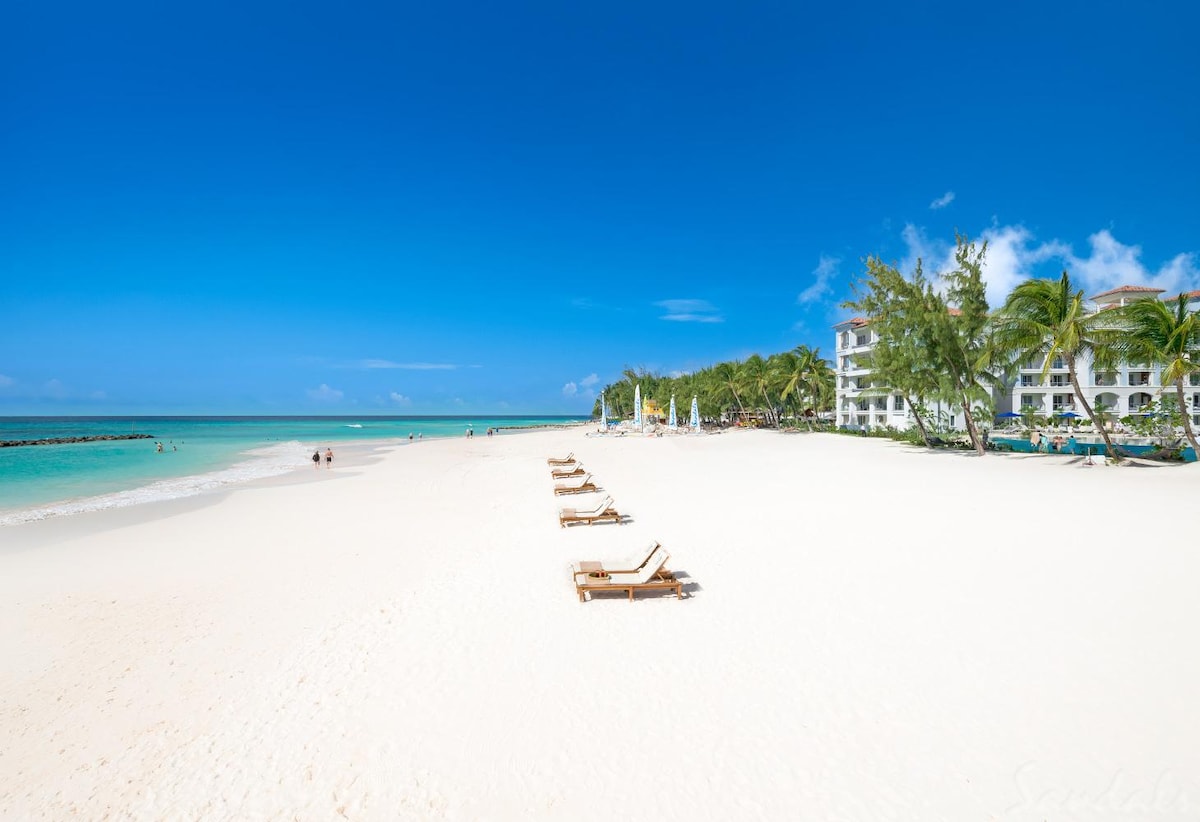 A sandy beach stretches out under a clear blue sky, lined with lounge chairs facing the gentle waves of the ocean. Nearby, the silhouette of a multi-story building is visible among palm trees, adding to the beachside atmosphere.