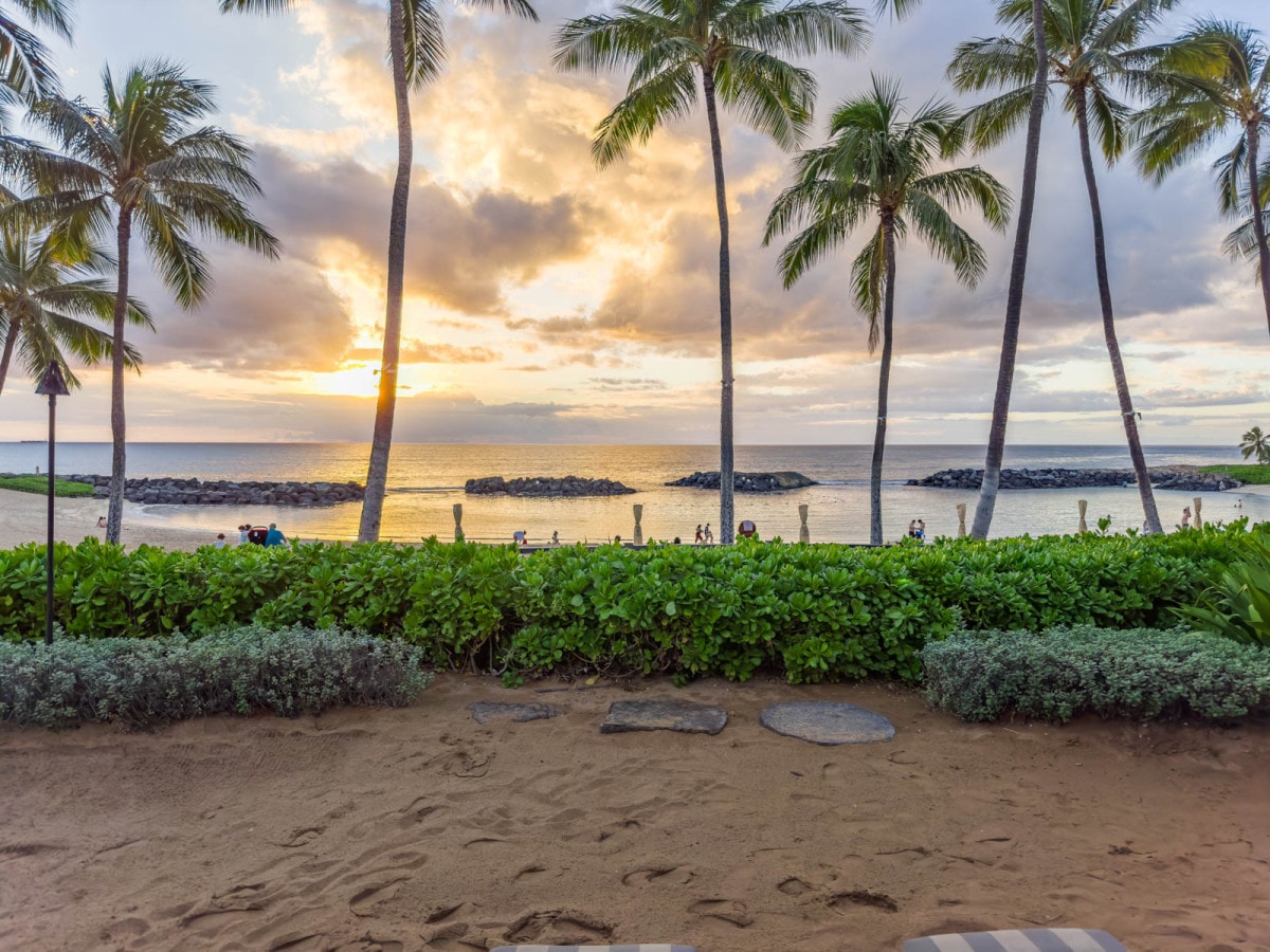 A scenic view of the ocean at sunset is framed by swaying palm trees. Soft waves lap against a sandy shore, with rocky formations in the distance. Lush greenery lines the beach, creating a serene coastal atmosphere.