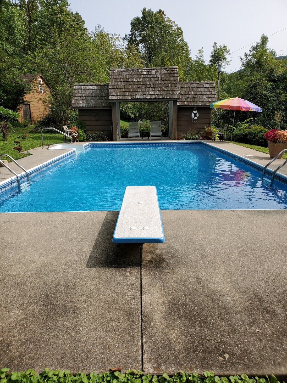 A clear saltwater pool is visible, surrounded by a concrete patio. A diving board is positioned at the pool's edge. In the background, a shaded seating area is seen, along with vibrant flowers and greenery enhancing the peaceful surroundings.