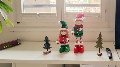 Aquae Helveticae, Roman District Glowing Riverbank