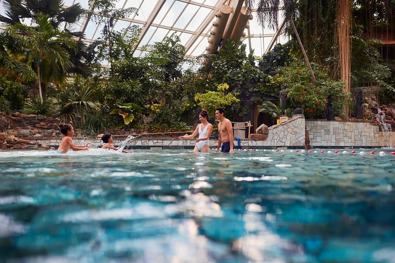 A tropical indoor pool area is surrounded by lush greenery, featuring a glass ceiling that allows natural light to flood in. Several guests engage in playful water activities, while the stone walls and flowing water features create a relaxing ambiance.