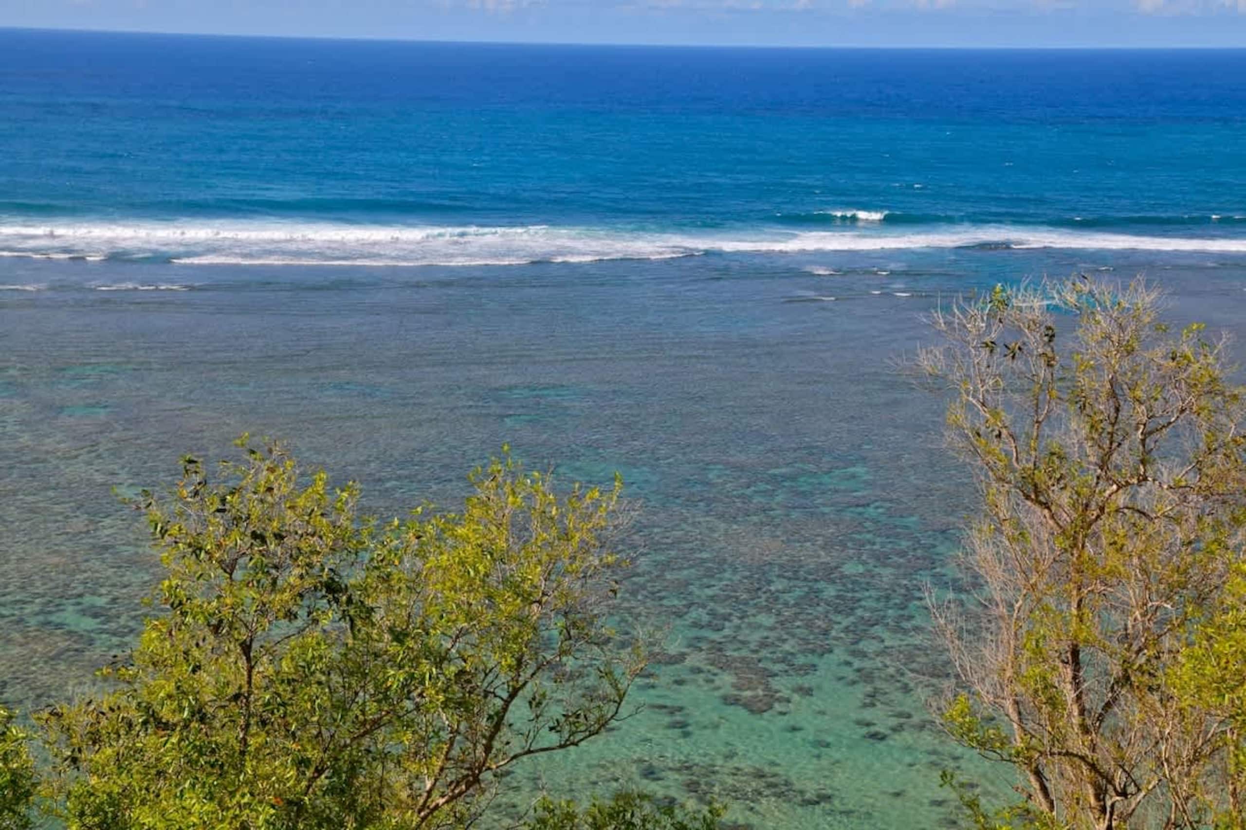 Princeville Paradise Studio Wyndham Ka Eo Kai - Photo 24