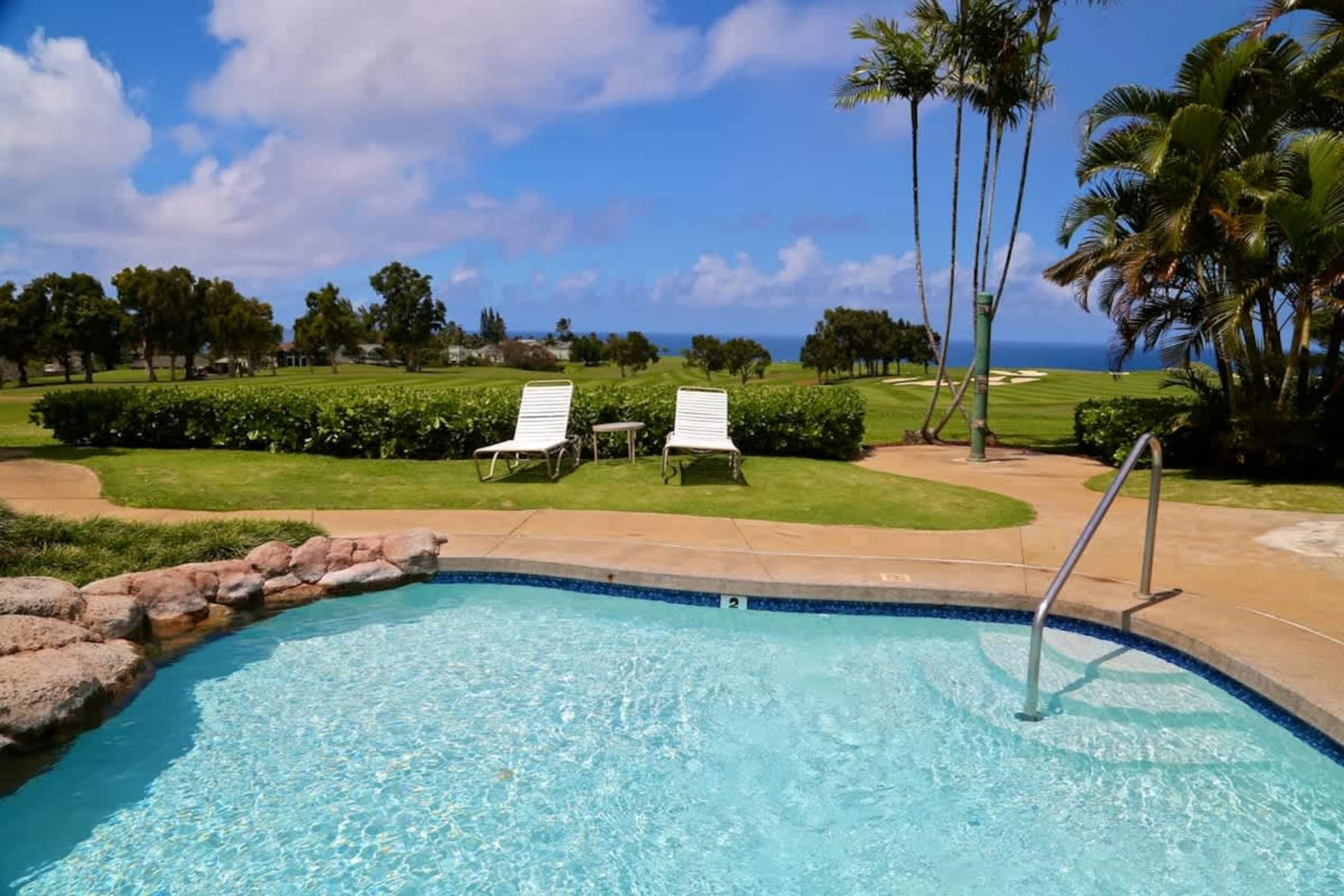 Princeville Paradise Studio Wyndham Ka Eo Kai - Photo 15