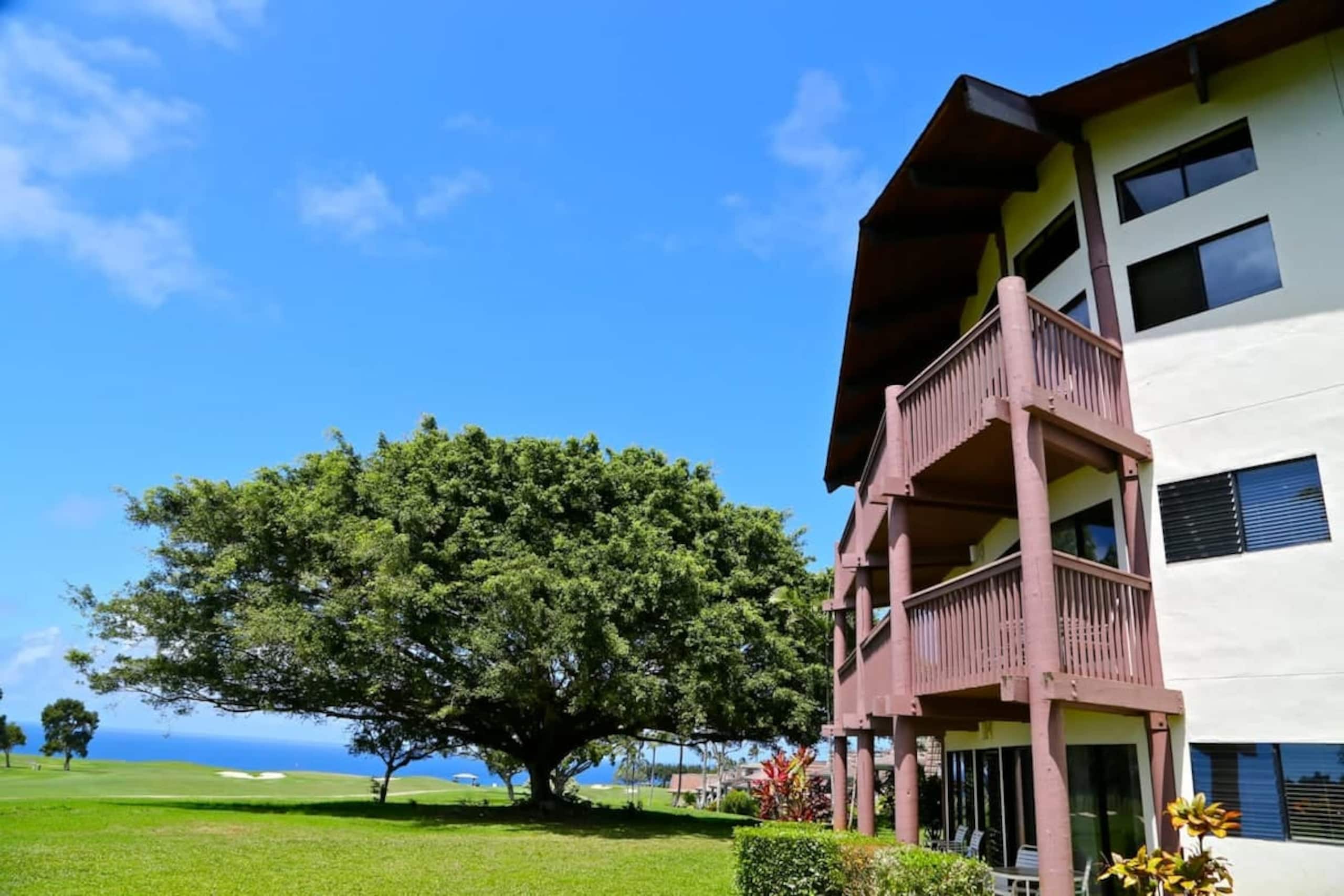 Princeville Paradise Studio Wyndham Ka Eo Kai - Photo 10