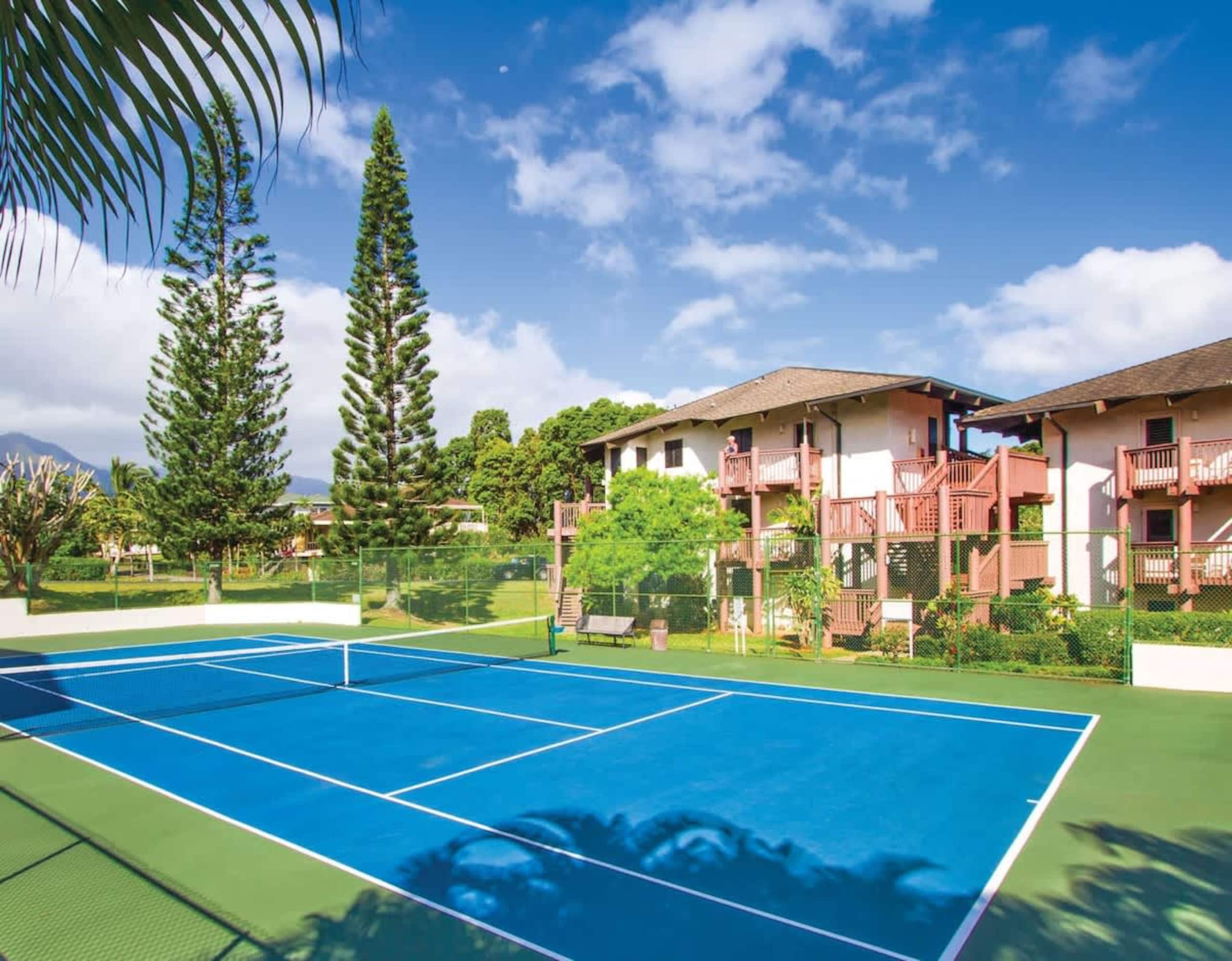 Princeville Paradise Studio Wyndham Ka Eo Kai - Photo 17