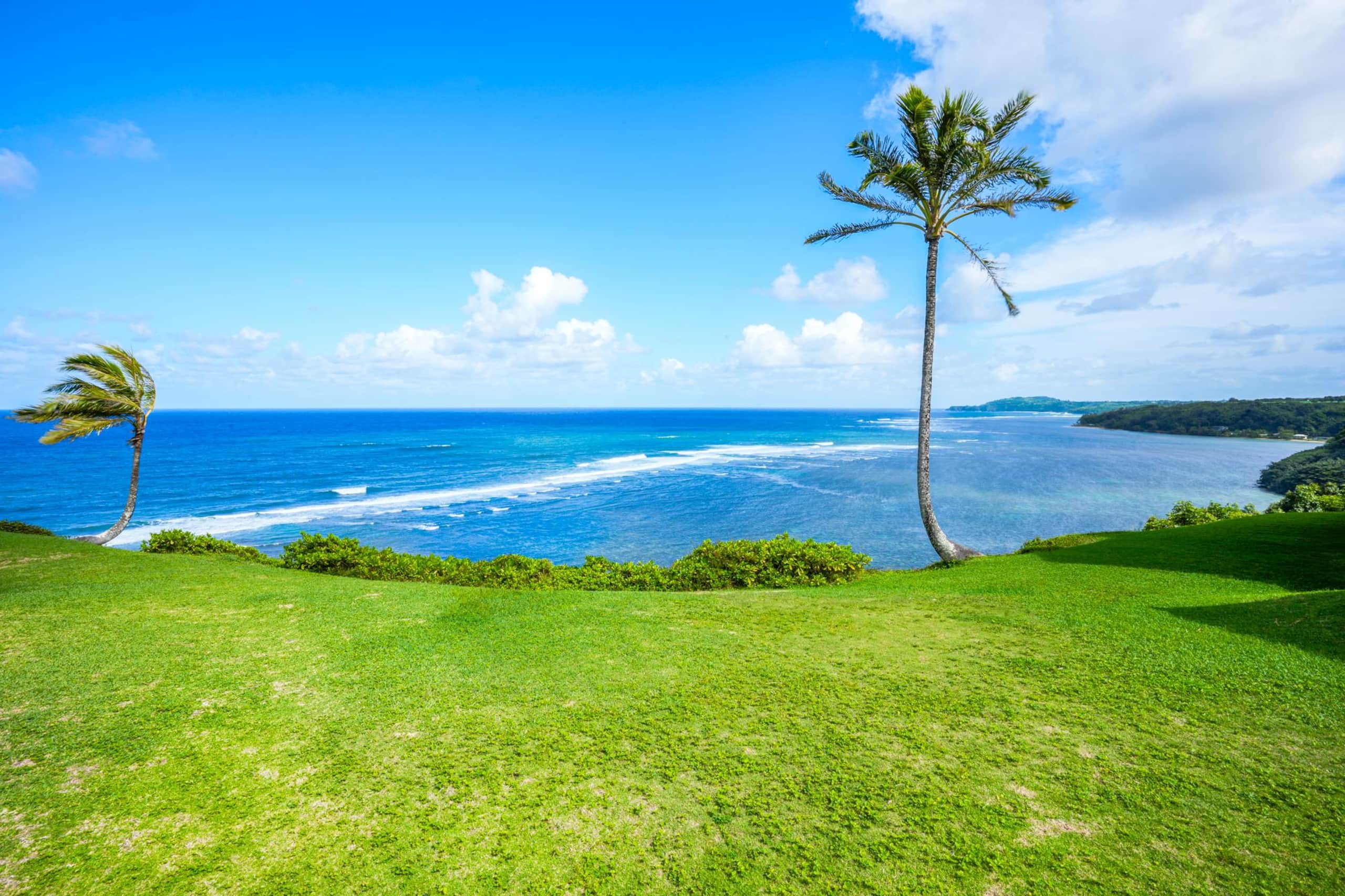 Condo in Princeville · ★4.9 · 2 bedrooms · 3 beds · 2 baths - Image 21