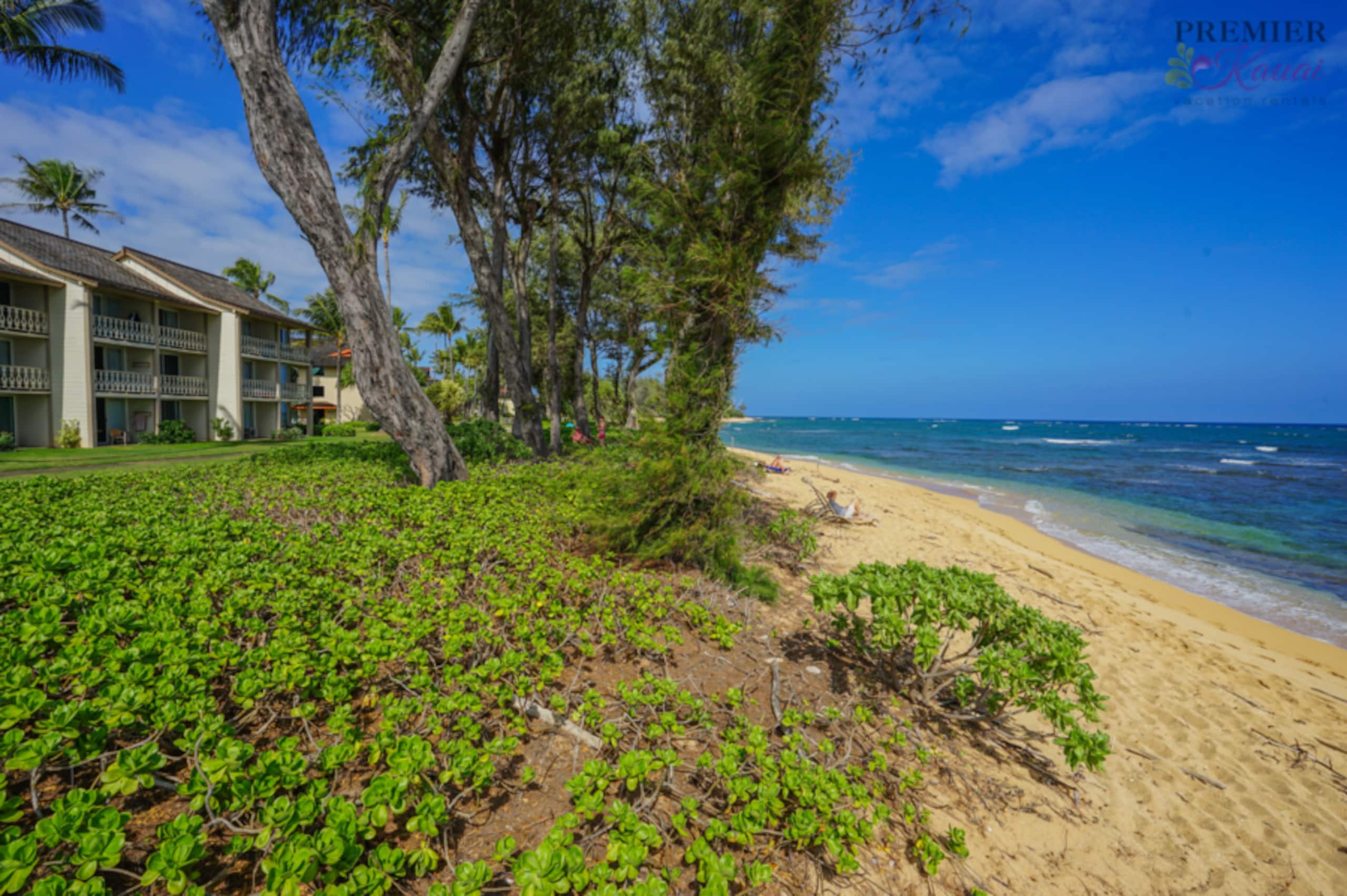 Condo in Kapaa · ★4.45 · Studio · 2 beds · 1 bath - Image 35